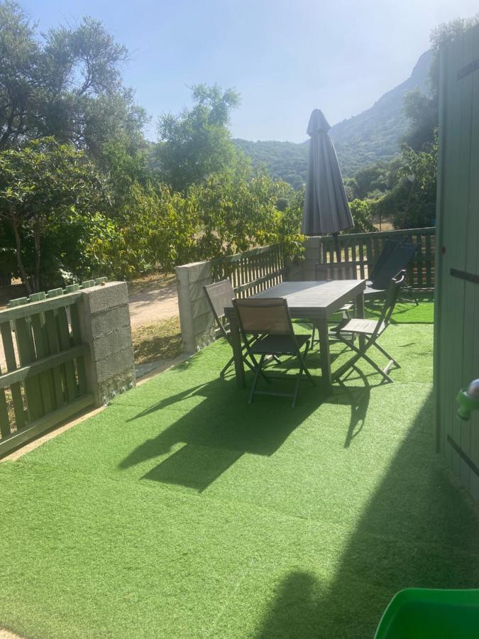 קלנצאנה Appartement Proche Du Depart Du Gr20 מראה חיצוני תמונה